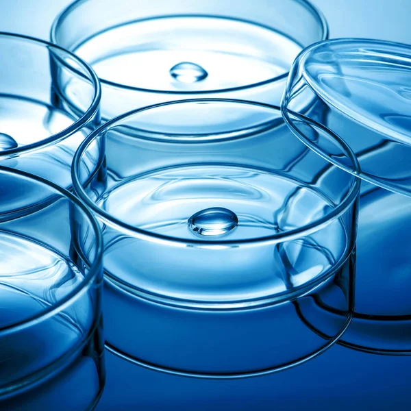 Clean glass petri dish with liquid drop inside over blue light background, concept of science lab test and vaccine development.