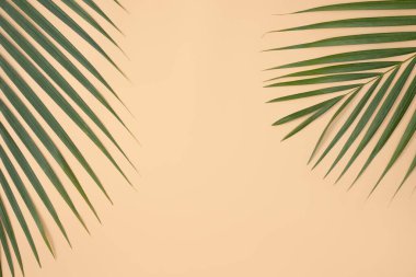 Parlak turuncu arkaplanda izole edilmiş tropikal palmiye yapraklarının üst görünümü.