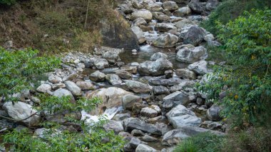 Tayvan 'da kaya taşları olan vahşi nehir akıntısı.