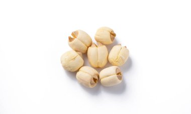 Kurutulmuş nilüfer tohumlarını kapatın. Çin bitkisel sağlıklı gıdalar beyaz masa arkasında izole edilmiş.