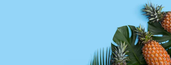 Ovanifrån Färsk Ananas Med Tropisk Palm Och Monstera Blad Blått — Stockfoto