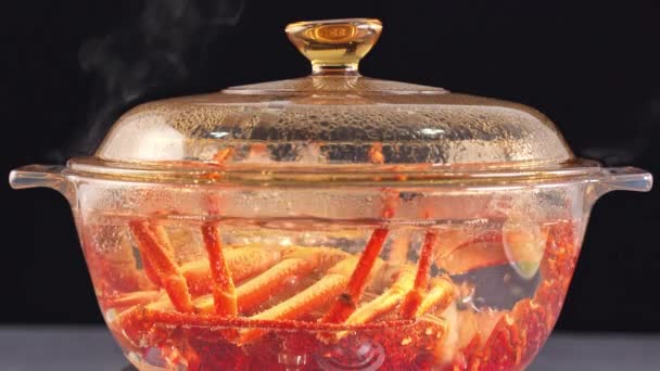 蒸煮生鲜的开普龙虾 西海岸龙虾 一只玻璃壶中的美洲驼 4K超高清视频 — 图库视频影像