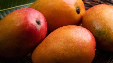 Mango. Bambu bir elek üzerinde taze olgun mango meyvesi yakın plan üzerinde koyu ahşap masa arkaplan yeşil yapraklar.