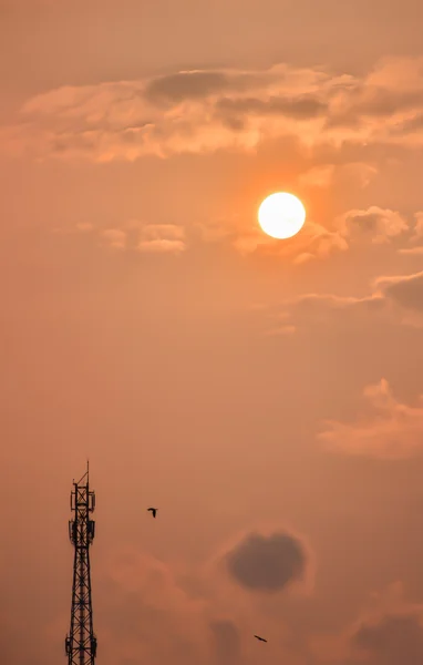 Telekommunikationstorn med solnedgång — Stockfoto
