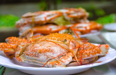 sıcak buharda pişmiş Yengeç