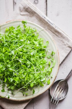 Ham lahanası (microgreens) 
