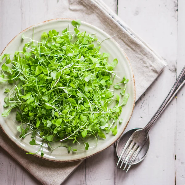 Nyers hajtások (microgreens) — Stock Fotó