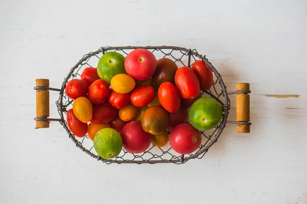Farbenfrohe Bauernhof gezüchtete Tomaten — Stockfoto