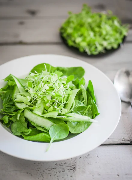 Salat mit Spinat, Gurke und Mikrogemüse auf Holzgrund — Stockfoto