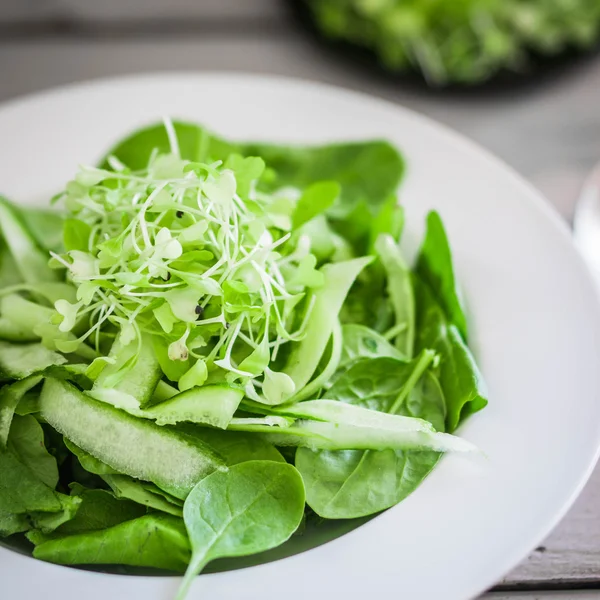 Salat mit Spinat, Gurke und Mikrogemüse auf Holzgrund — Stockfoto