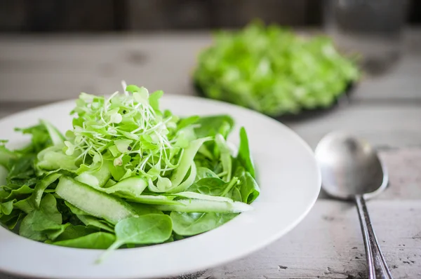 Saláta, spenót, uborka és microgreens fából készült háttér — Stock Fotó