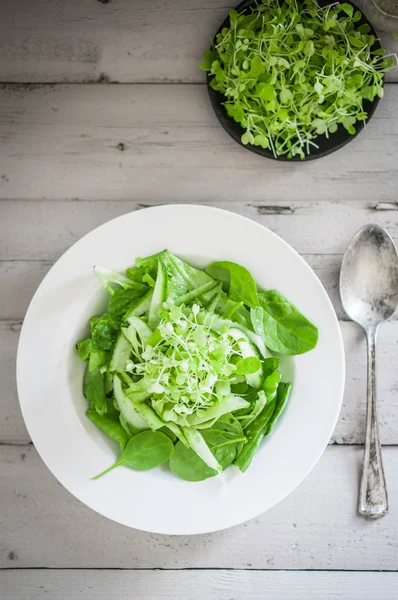 Salat mit Spinat, Gurke und Mikrogemüse auf Holzgrund — Stockfoto