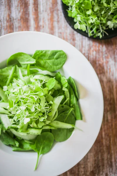 Saláta, spenót, uborka és microgreens fából készült háttér — Stock Fotó
