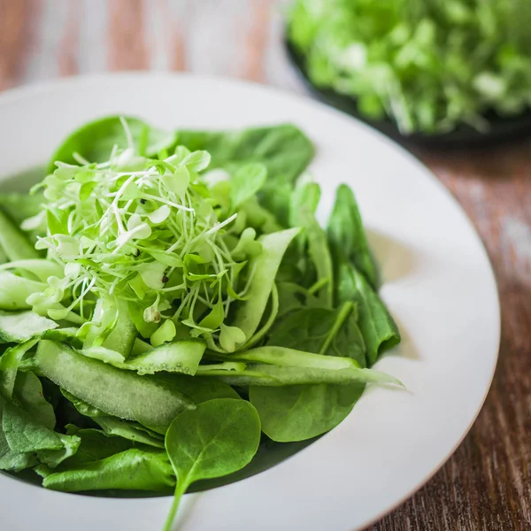 Insalata con spinaci, cetrioli e microverdi su fondo di legno — Foto Stock