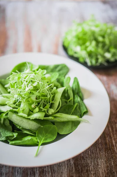 Salat mit Spinat, Gurke und Mikrogemüse auf Holzgrund — Stockfoto