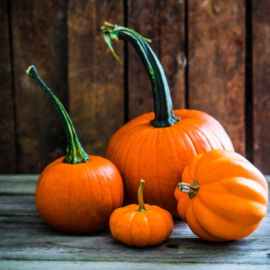 ahşap arka plan üzerinde renkli kabaklar