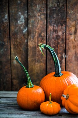 ahşap arka plan üzerinde renkli kabaklar