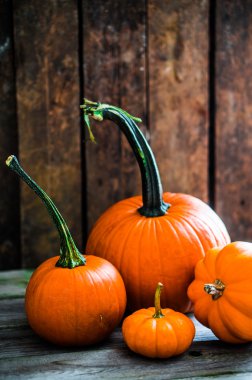 ahşap arka plan üzerinde renkli kabaklar