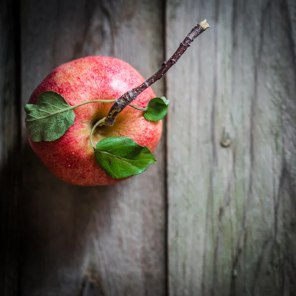 Farm raised apples on wooden background — Stock Photo, Image