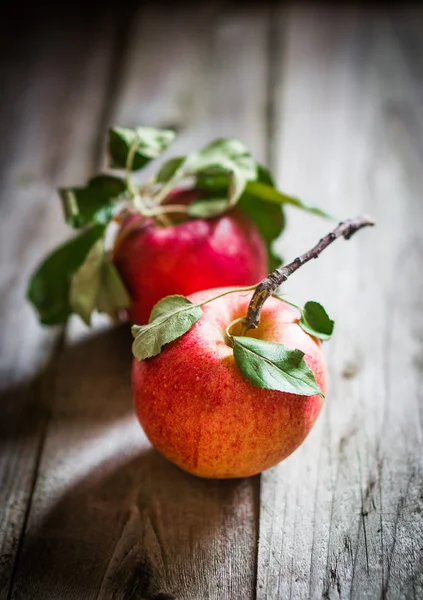 Ферма подняла яблоки на деревянном фоне — стоковое фото