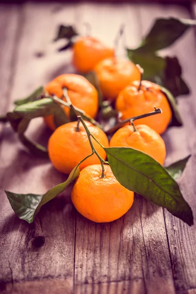 橘子在乡村背景 — 图库照片