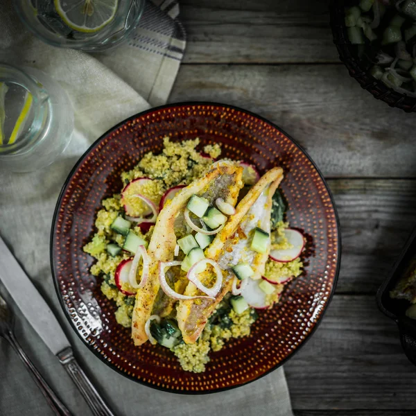 Pesce gatto alla griglia con quinoa e insalata di ravanello — Foto Stock