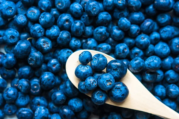 Blueberries — Stock Photo, Image