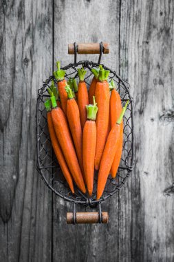 Çiftlik kaldırdı bebek havuç