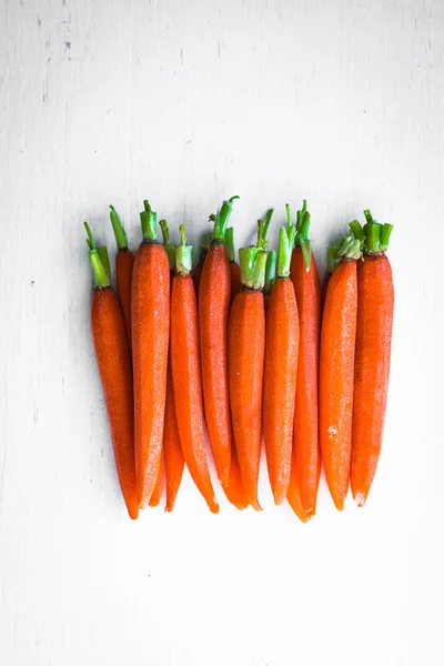 Farm raised baby carrots — Stock Photo, Image