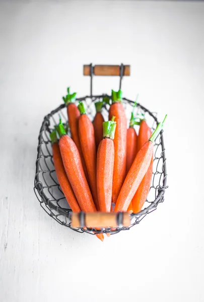 Farm raised baby carrots — Stock Photo, Image