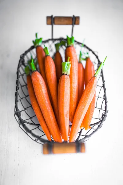 Farm raised baby carrots — Stock Photo, Image