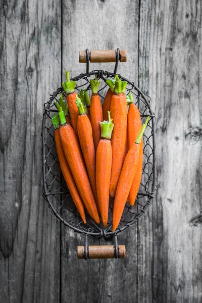 Farm raised baby carrots — Stock Photo, Image