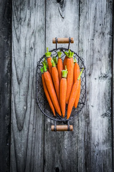 Farm raised baby carrots — Stock Photo, Image