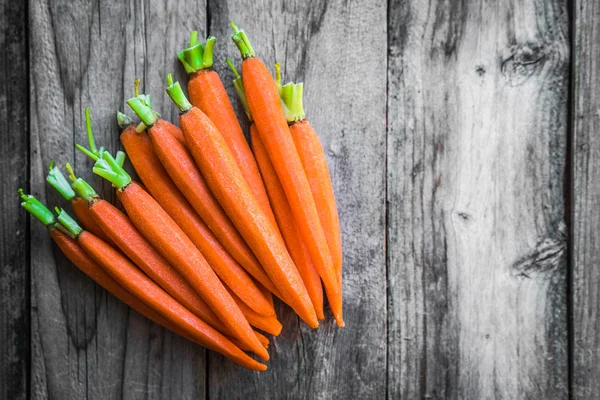 Farm raised baby carrots — Stock Photo, Image