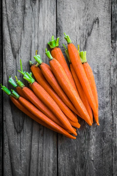 Farm raised baby carrots — Stock Photo, Image