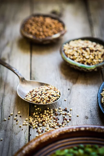 Încolțită quinoa roșie și albă — Fotografie, imagine de stoc