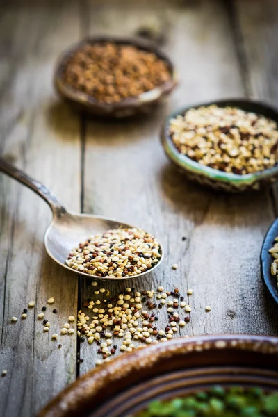 Quinoa vermelha e branca germinada — Fotografia de Stock