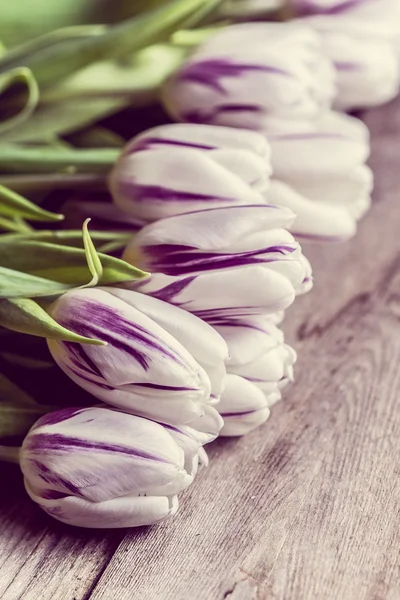 Tulips on wooden background — Stock Photo, Image
