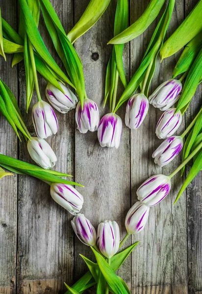 Tulpen auf Holzgrund — Stockfoto