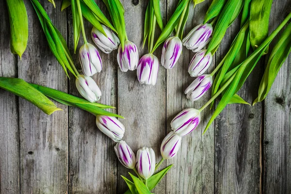 Tulips on wooden background — Stock Photo, Image