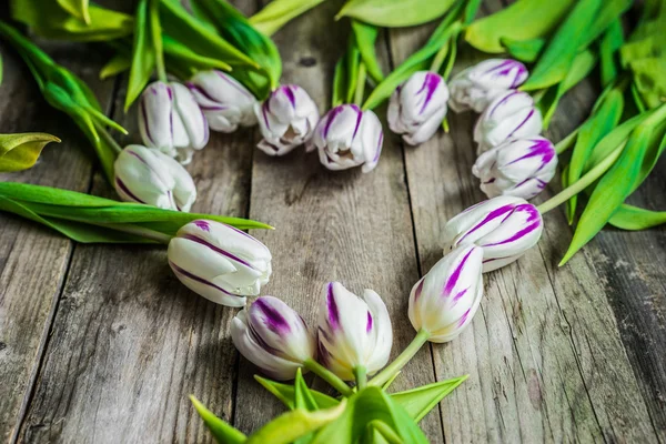 Tulpen auf Holzgrund — Stockfoto