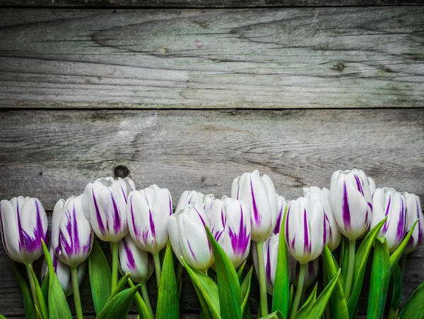 Tulips on wooden background — Stock Photo, Image