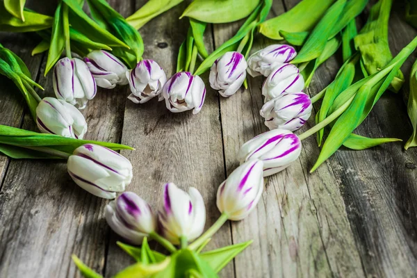 Tulpen auf Holzgrund — Stockfoto