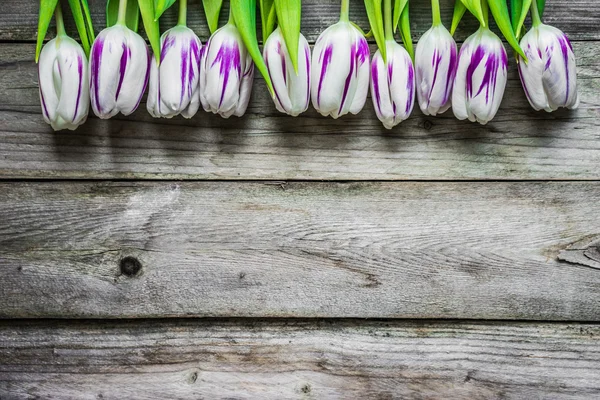 Tulipani su fondo di legno — Foto Stock