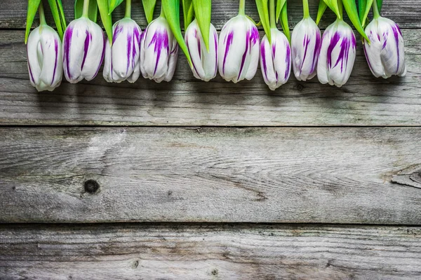 Tulipanes sobre fondo de madera — Foto de Stock