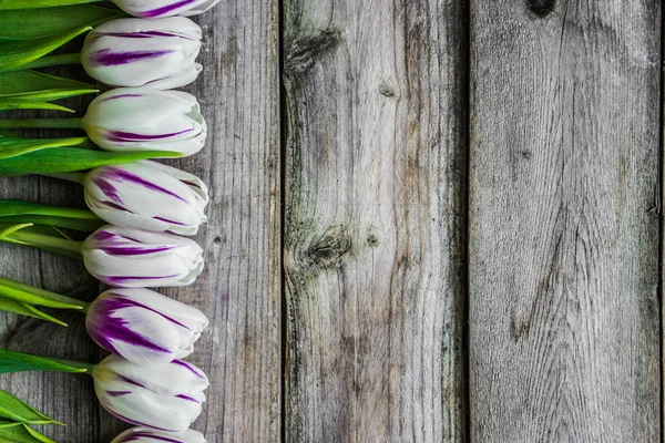 Tulpen auf Holzgrund — Stockfoto