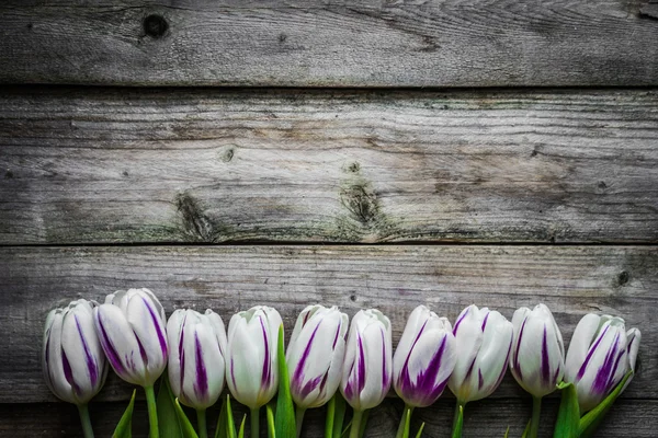 Tulipanes sobre fondo de madera — Foto de Stock