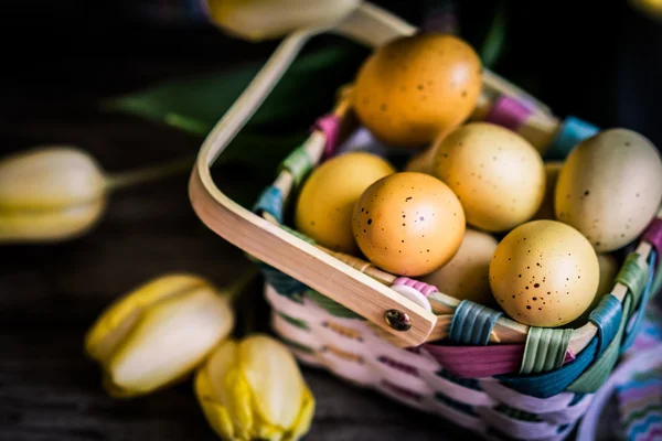 Easter Eggs — Stock Photo, Image