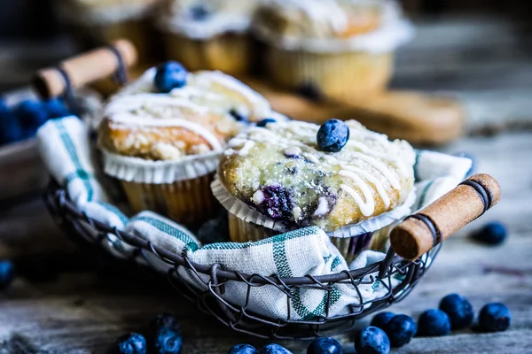 Blåbärsmuffins — Stockfoto