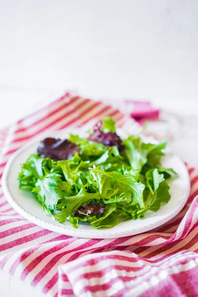 Gesunder Salat — Stockfoto